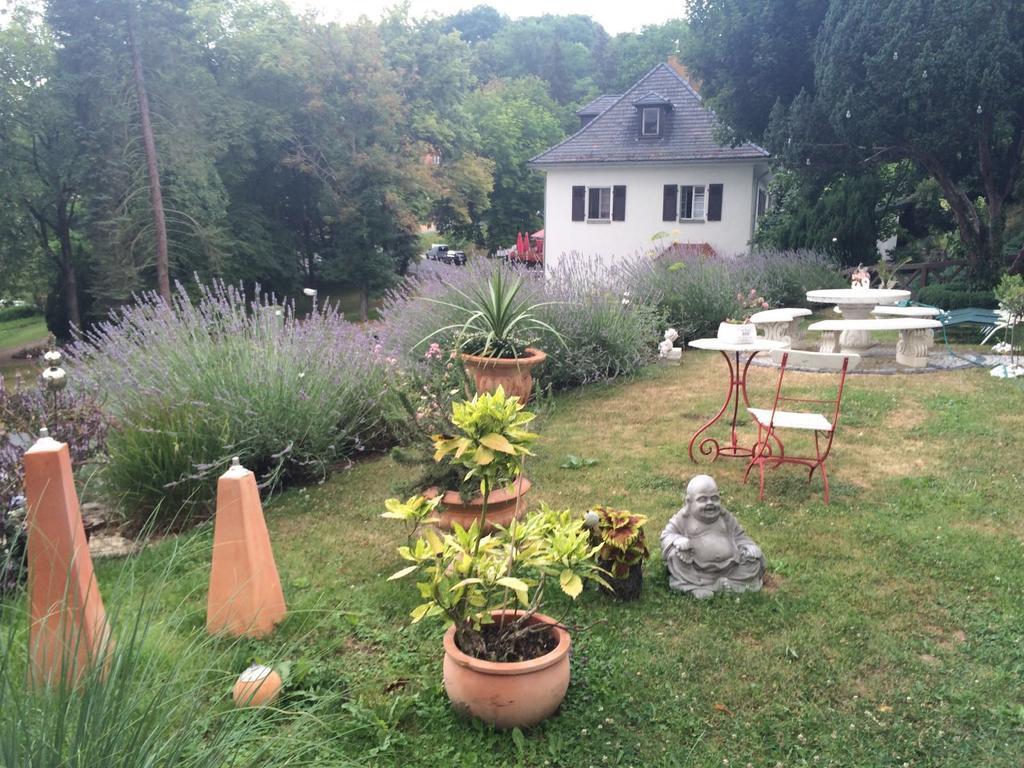 Traumparadies Bad Sulza Bagian luar foto