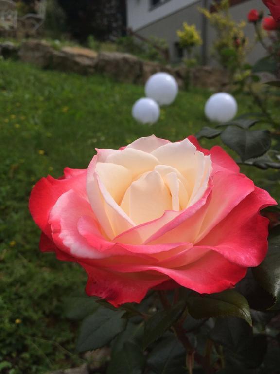 Traumparadies Bad Sulza Bagian luar foto
