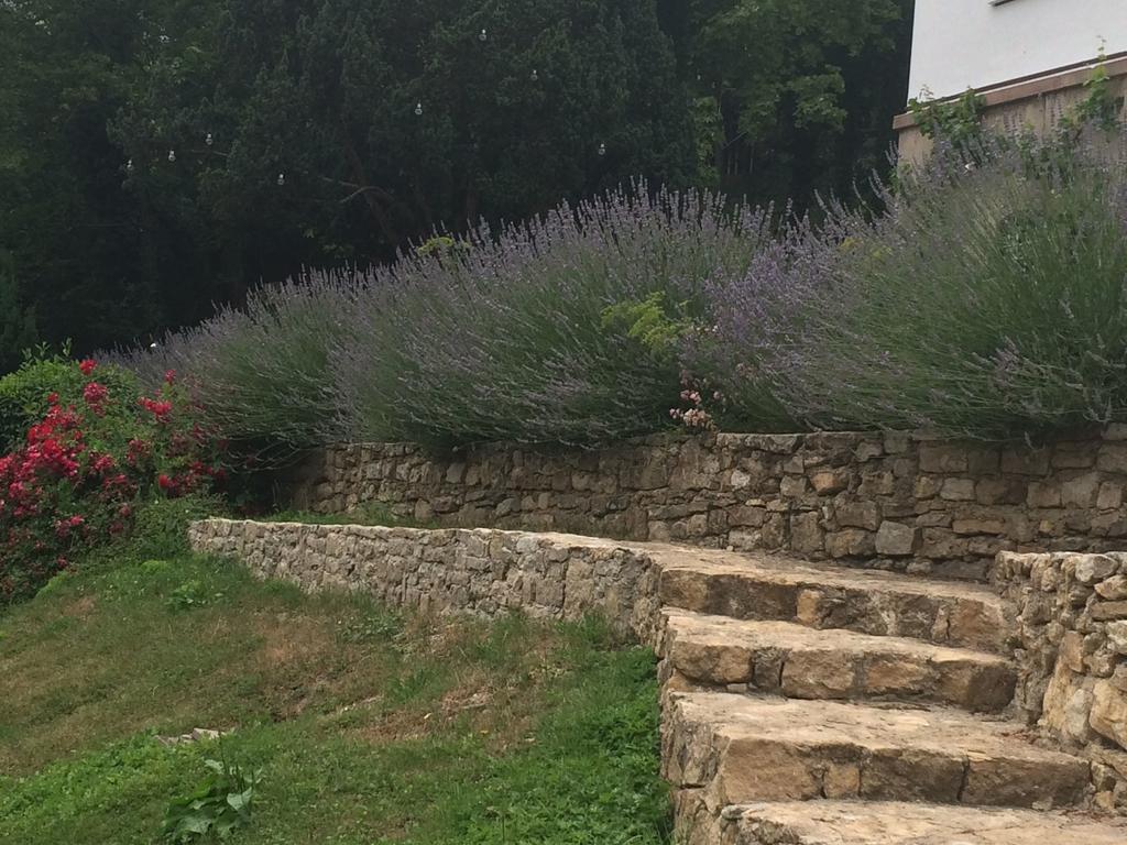 Traumparadies Bad Sulza Bagian luar foto